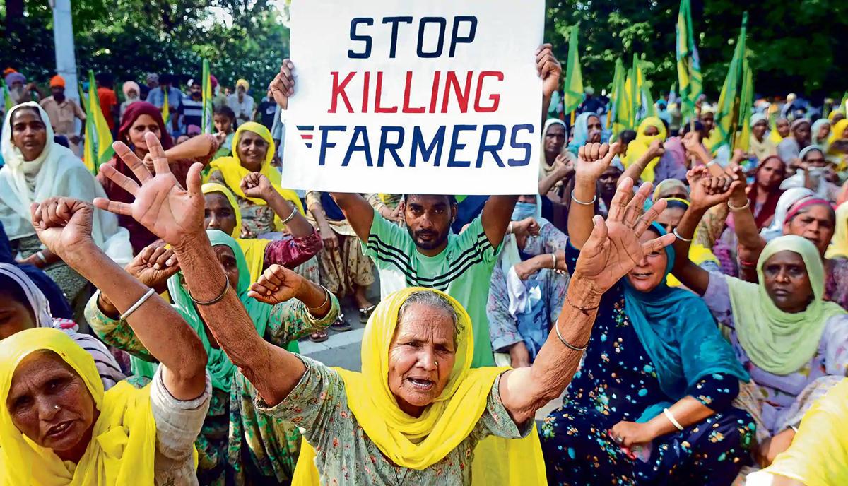 c-p-crimethinc-pranav-jeevan-p-how-farmers-defeate-1.jpg
